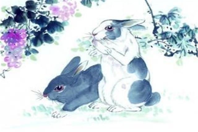 
兔和龙配婚姻好不好爱情配对的生肖兔之人(组图)