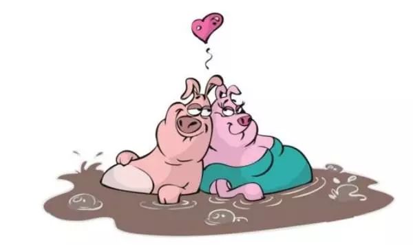 5月属猪人的爱情运势是怎样的？