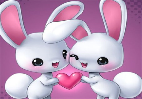 属兔人一生的最佳配偶是什么？有你吗？