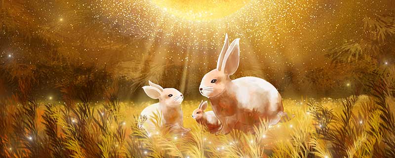 属兔的生肖贵人属相是谁 兔的三合属相是什么
