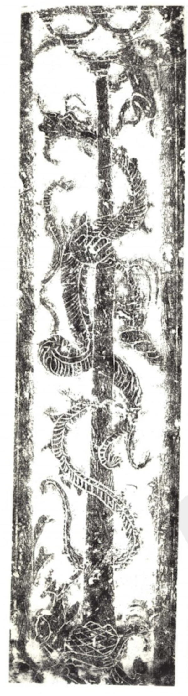 汉代以前的猴文化猿猴是汉文化十二生肖动物中的一种文化传统